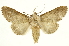  ( - INBIOCRI002466838)  @14 [ ] Copyright (2012) J. Montero INBio