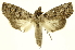  ( - INBIOCRI002474542)  @14 [ ] Copyright (2012) J. Montero INBio