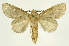  ( - INBIOCRI002480046)  @11 [ ] Copyright (2012) J. Montero INBio