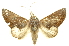  ( - INBIOCRI002484078)  @13 [ ] Copyright (2012) Juan Mata Lorenzen INBio