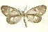  ( - INBIOCRI002491039)  @14 [ ] Copyright (2012) Juan Mata Lorenzen INBio