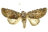  ( - INBIOCRI002495856)  @15 [ ] Copyright (2012) Juan Mata Lorenzen Unspecified