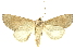  ( - INBIOCRI002495856)  @15 [ ] Copyright (2012) Juan Mata Lorenzen Unspecified
