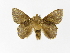  ( - INBIOCRI002504998)  @13 [ ] Copyright (2012) J. Montero Instituto Nacional de Biodiversidad