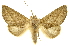  ( - INBIOCRI002534860)  @11 [ ] Copyright (2012) Juan Mata Lorenzen INBio