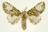  ( - INBIOCRI002551643)  @14 [ ] Copyright (2012) J. Montero INBio