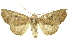  ( - INBIOCRI002555334)  @14 [ ] Copyright (2012) Juan Mata Lorenzen INBio