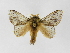  ( - INBIOCRI002558141)  @14 [ ] Copyright (2012) J. Montero Instituto Nacional de Biodiversidad