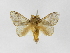  ( - INBIOCRI002558141)  @13 [ ] Copyright (2012) J. Montero Instituto Nacional de Biodiversidad