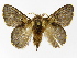  ( - INBIOCRI002558352)  @13 [ ] Copyright (2012) J. Montero Instituto Nacional de Biodiversidad
