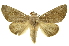  ( - INBIOCRI002561695)  @14 [ ] Copyright (2012) Juan Mata Lorenzen INBio