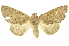  ( - INBIOCRI002561697)  @14 [ ] Copyright (2012) Juan Mata Lorenzen INBio