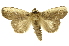  ( - INBIOCRI002561778)  @13 [ ] Copyright (2012) J. Montero INBio