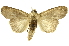  ( - INBIOCRI002561778)  @14 [ ] Copyright (2012) J. Montero INBio