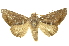  ( - INBIOCRI002561782)  @14 [ ] Copyright (2012) Juan Mata Lorenzen INBio