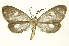  ( - INBIOCRI002567695)  @14 [ ] Copyright (2012) Juan Mata Lorenzen INBio