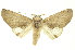  ( - INBIOCRI002572458)  @14 [ ] Copyright (2012) Juan Mata Lorenzen INBio