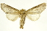 ( - INBIOCRI002573187)  @15 [ ] Copyright (2012) J. Montero INBio