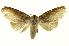  ( - INBIOCRI002575919)  @13 [ ] Copyright (2012) Juan Mata Lorenzen INBio
