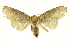  ( - INBIOCRI002575919)  @14 [ ] Copyright (2012) Juan Mata Lorenzen INBio