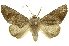  ( - INBIOCRI002591575)  @14 [ ] Copyright (2012) Juan Mata Lorenzen INBio