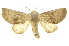  ( - INBIOCRI002604452)  @15 [ ] Copyright (2012) Juan Mata Lorenzen Unspecified