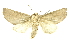  ( - INBIOCRI002604452)  @15 [ ] Copyright (2012) Juan Mata Lorenzen Unspecified