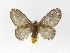  ( - INBIOCRI002752972)  @11 [ ] Copyright (2012) J. Montero Instituto Nacional de Biodiversidad