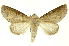  ( - INBIOCRI002755154)  @11 [ ] Copyright (2012) Juan Mata Lorenzen Unspecified