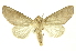  ( - INBIOCRI002755154)  @11 [ ] Copyright (2012) Juan Mata Lorenzen Unspecified