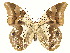  ( - INB0004153530)  @12 [ ] Copyright (2011) J. Montero Instituto Nacional de Biodiversidad