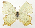  ( - INB0004270286)  @12 [ ] Copyright (2011) J. Montero Instituto Nacional de Biodiversidad