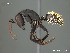 ( - AFR-GAM1-wp24-01)  @14 [ ] Unspecified (default): All Rights Reserved  Unspecified Unspecified