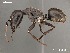  ( - AFR-TQM-152-F1-i)  @15 [ ] Unspecified (default): All Rights Reserved  Unspecified Unspecified