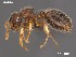  (Meranoplus AFRC-LIM-01 - AFR-TWR-D1-PT-F46-i)  @11 [ ] Unspecified (default): All Rights Reserved  Unspecified Unspecified