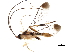  ( - DHJPAR0029189)  @11 [ ] CreativeCommons - Attribution (2018) CBG Photography Group Centre for Biodiversity Genomics