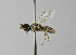  ( - 1408-H02)  @12 [ ] CreativeCommons - Attribution Non-Commercial Share-Alike (2010) Unspecified York University
