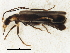  ( - BIOUG00824-B12)  @13 [ ] CreativeCommons - Attribution (2011) CBG Photography Group Centre for Biodiversity Genomics