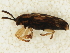  ( - BIOUG00824-E01)  @12 [ ] CreativeCommons - Attribution (2011) CBG Photography Group Centre for Biodiversity Genomics
