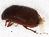  ( - BIOUG00824-F11)  @12 [ ] CreativeCommons - Attribution (2011) CBG Photography Group Centre for Biodiversity Genomics