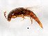  ( - BIOUG00818-D09)  @12 [ ] CreativeCommons - Attribution (2011) CBG Photography Group Centre for Biodiversity Genomics