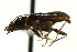  ( - AS20100024)  @12 [ ] CreativeCommons - Attribution (2010) CBG Photography Group Centre for Biodiversity Genomics