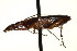  ( - AS20100057)  @13 [ ] CreativeCommons - Attribution (2010) CBG Photography Group Centre for Biodiversity Genomics