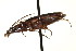  ( - AS20100058)  @13 [ ] CreativeCommons - Attribution (2010) CBG Photography Group Centre for Biodiversity Genomics