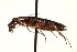  ( - AS20100061)  @11 [ ] CreativeCommons - Attribution (2010) CBG Photography Group Centre for Biodiversity Genomics