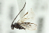  ( - HYM00000669)  @13 [ ] CreativeCommons - Attribution (2010) CBG Photography Group Centre for Biodiversity Genomics