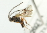  ( - 07PROBE-20274)  @13 [ ] CreativeCommons - Attribution (2010) CBG Photography Group Centre for Biodiversity Genomics