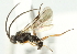  ( - 07PROBE-20276)  @13 [ ] CreativeCommons - Attribution (2010) CBG Photography Group Centre for Biodiversity Genomics
