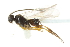  ( - 07PROBE-23375)  @12 [ ] CreativeCommons - Attribution (2010) CBG Photography Group Centre for Biodiversity Genomics