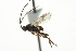  ( - 07PROBE-23393)  @13 [ ] CreativeCommons - Attribution (2010) CBG Photography Group Centre for Biodiversity Genomics